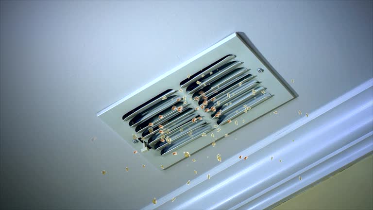Best General Air Duct Cleaning  in West Homestead, PA