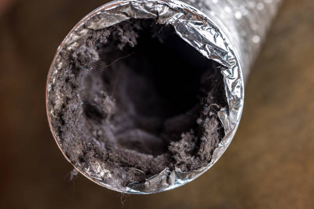 Best Affordable HVAC Duct Cleaning  in West Homestead, PA