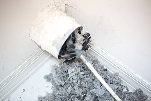 Best Affordable Duct Cleaning Services  in West Homestead, PA